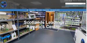 Website designed for Discovery Aquatics